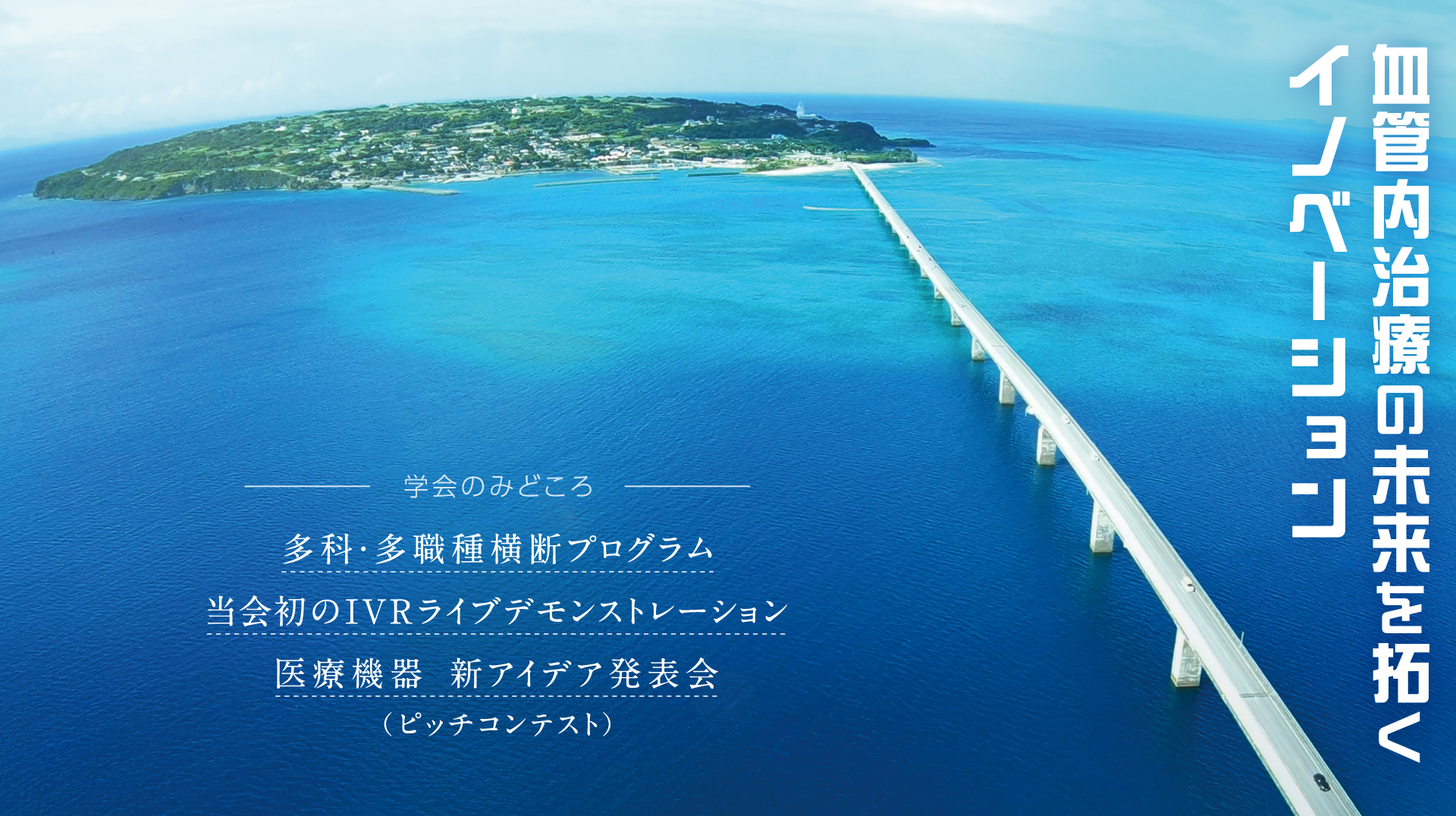 第31回日本血管内治療学会学術総会「血管内治療の未来を拓くイノベーション」[学会のみどころ]多科・多職種横断プログラム、当会初のIVRライブデモンストレーション、医療機器 新アイデア発表会（ピッチコンテスト）